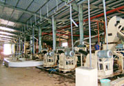 nhấp v�o