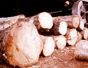 nhấp v�o