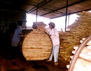 nhấp v�o